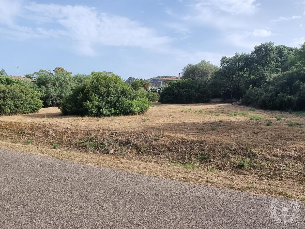 Baugrundstück (2.000 m²) zu verkaufen